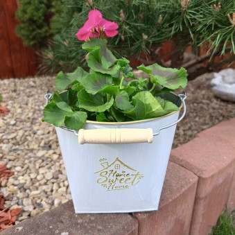 Plechový kbelík květináč
